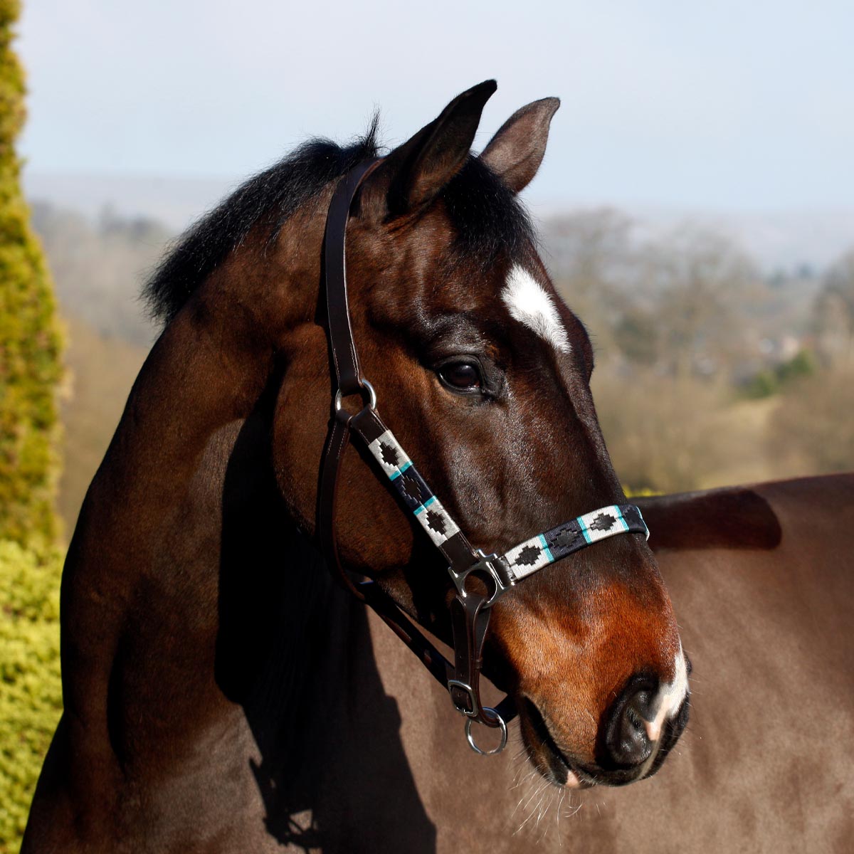 Personalised horse hotsell head collar