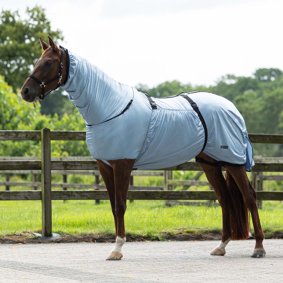 QHP Eczema Rug Blue