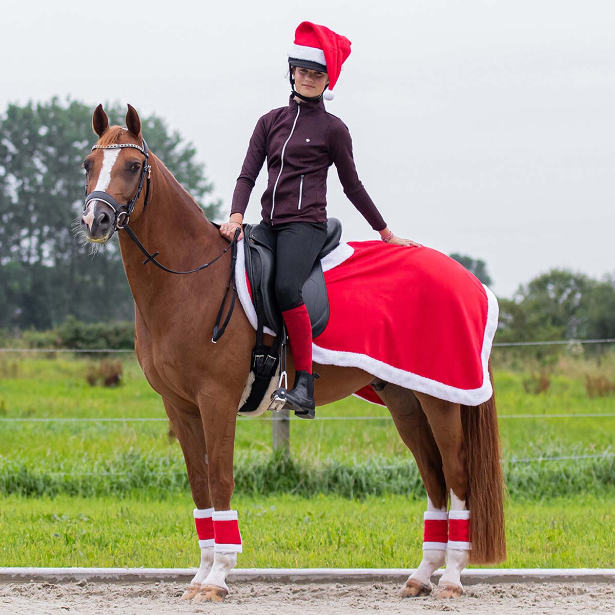 QHP Christmas Exercise Sheet Red