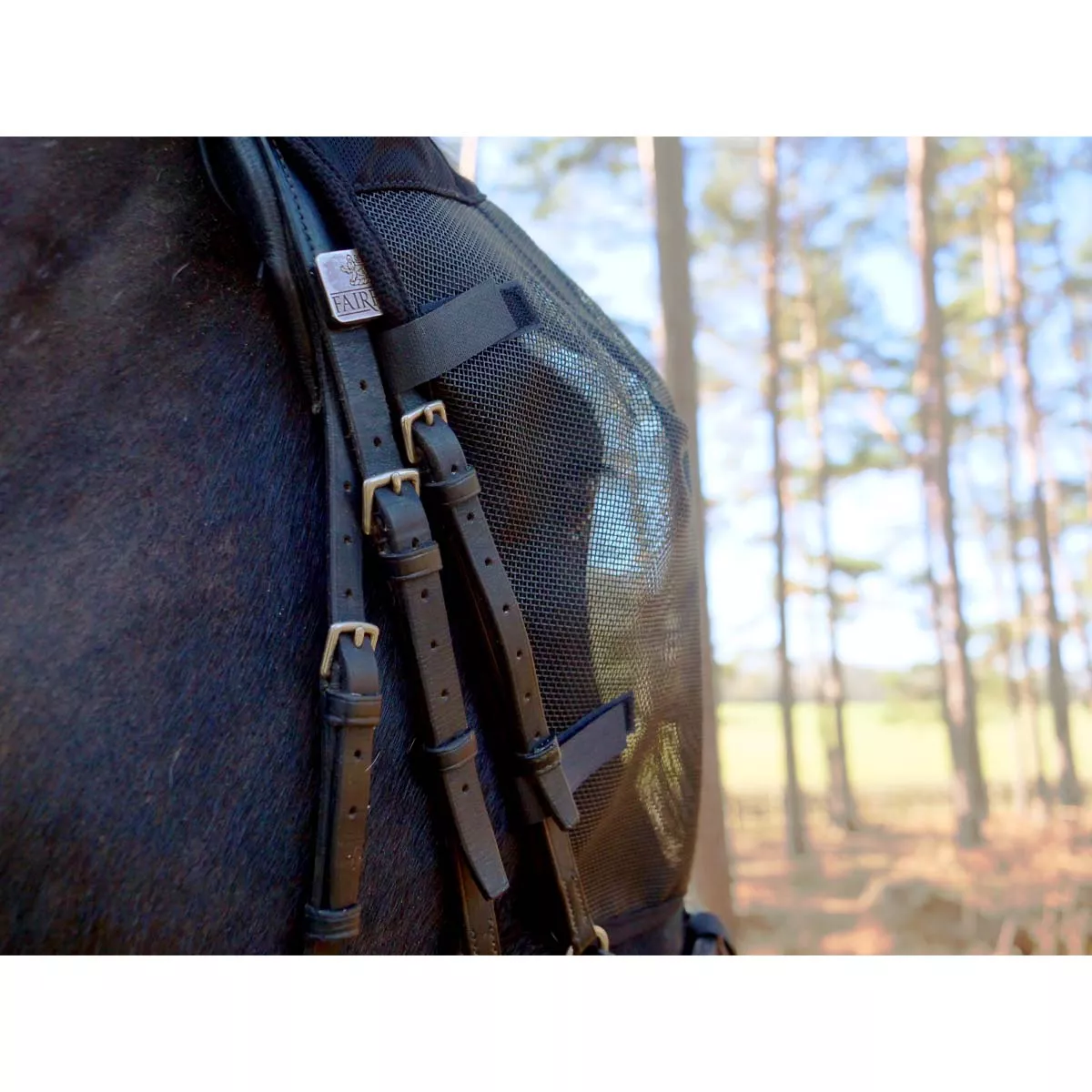 Equilibrium Net Relief Riding Mask Black