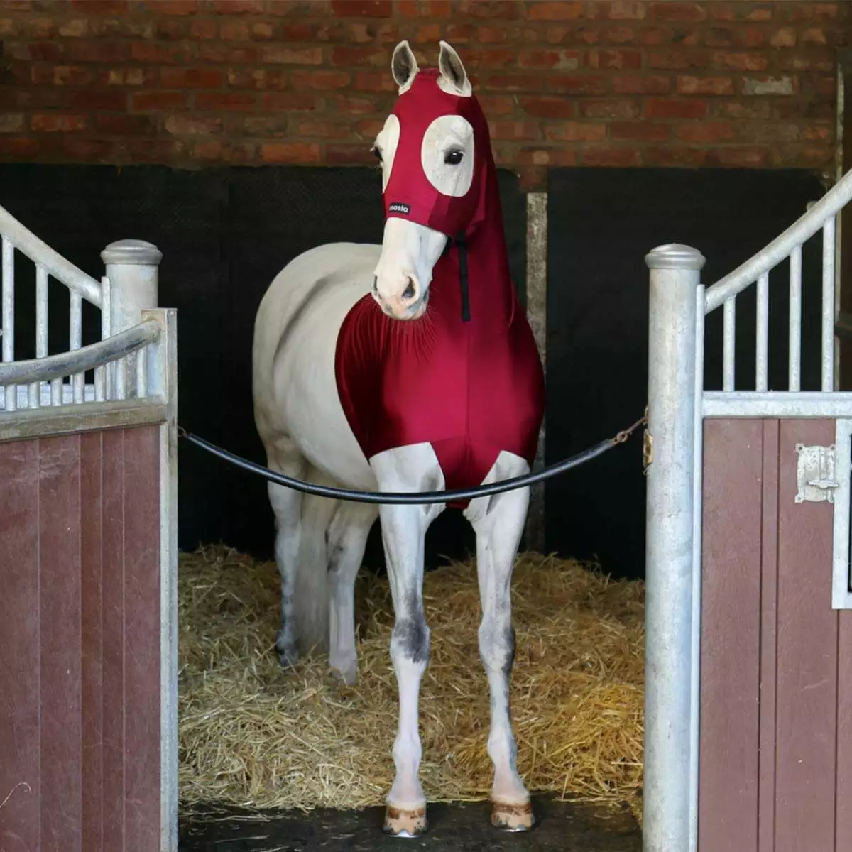 Masta Stretch Show Hood Burgundy