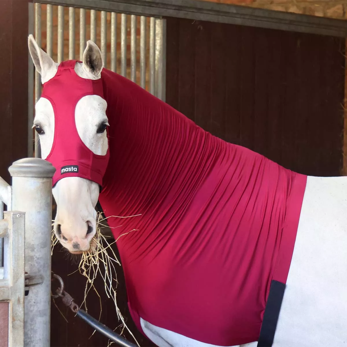 Masta Stretch Show Hood Burgundy