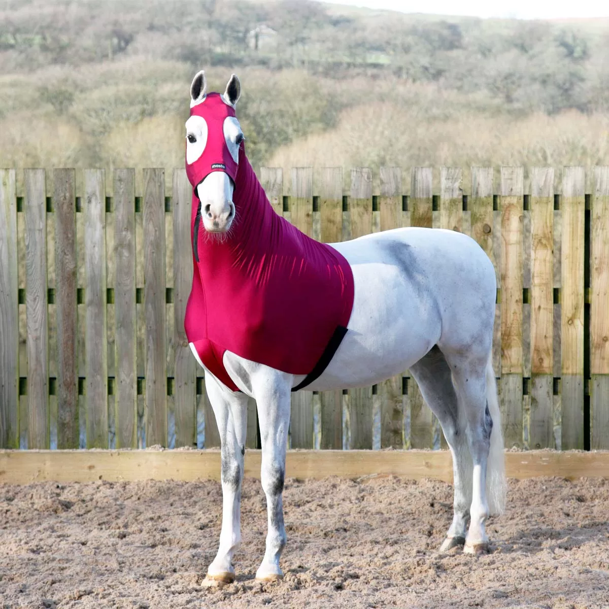 Masta Stretch Show Hood Burgundy