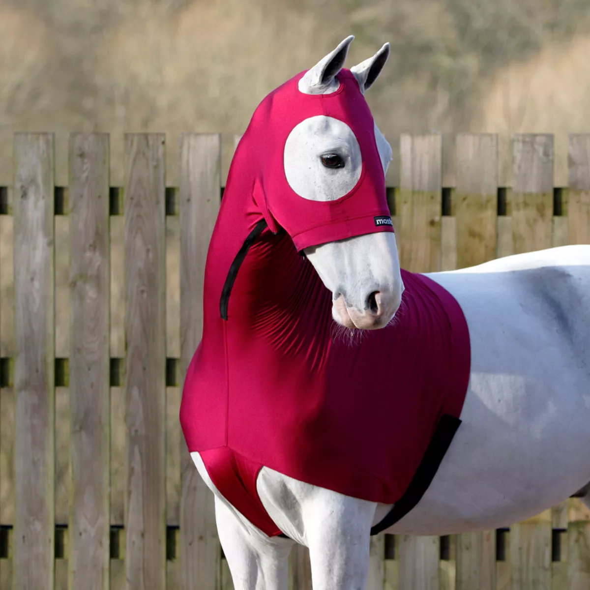 Masta Stretch Show Hood Burgundy