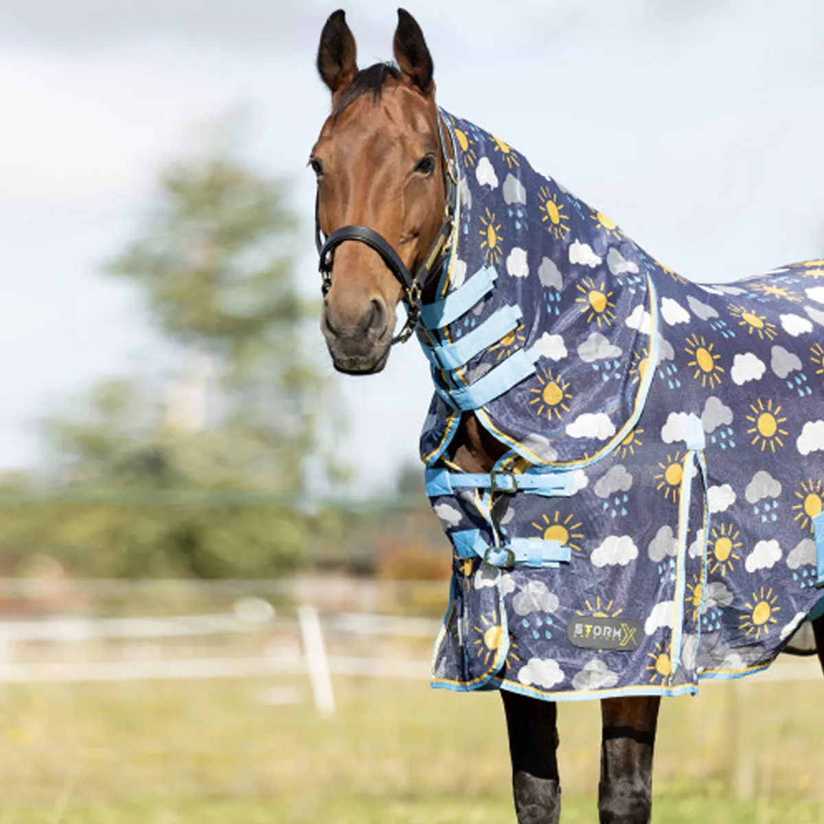 Storm X Original Come Rain or Shine Combi Fly Rug Navy Blue