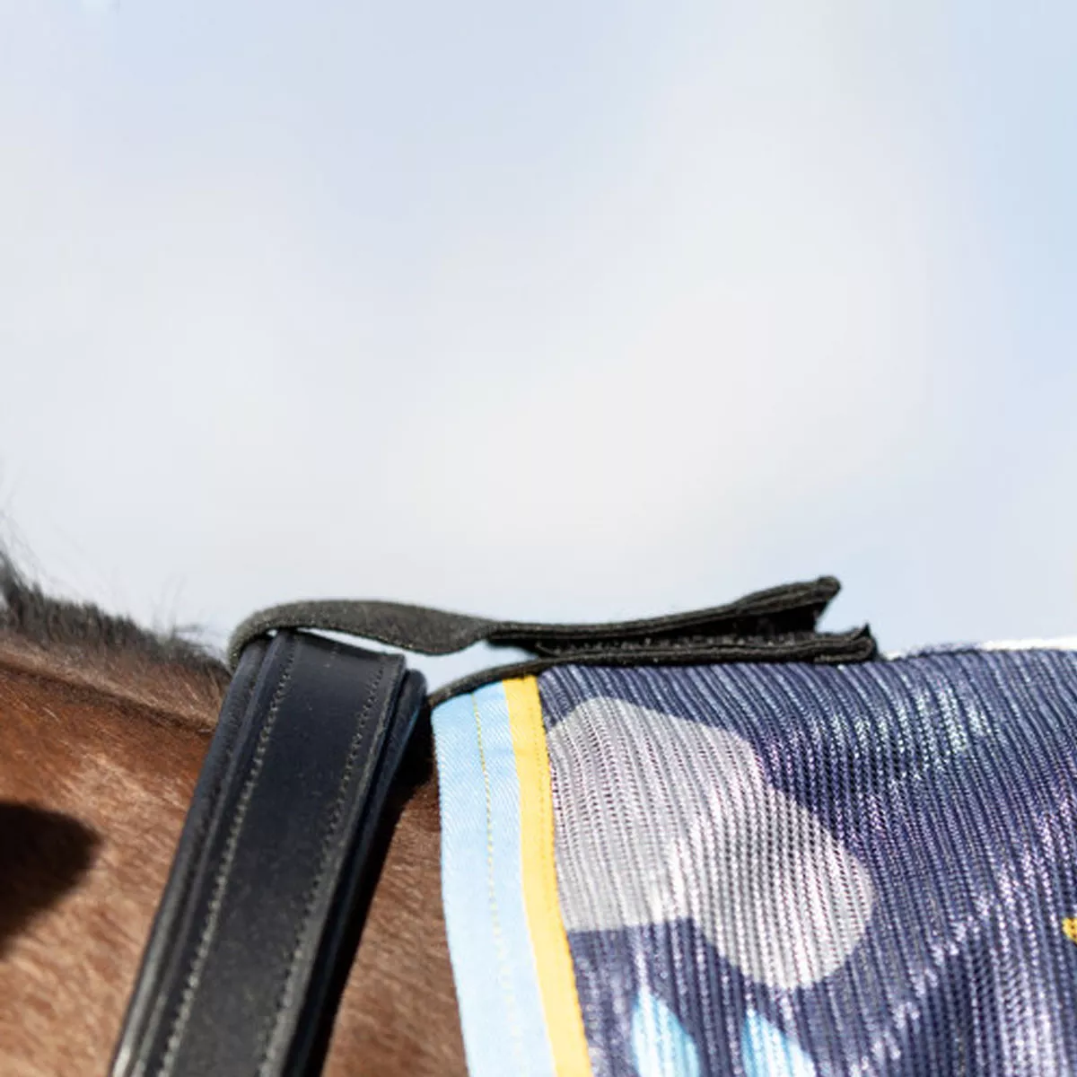 Storm X Original Come Rain or Shine Combi Fly Rug Navy Blue