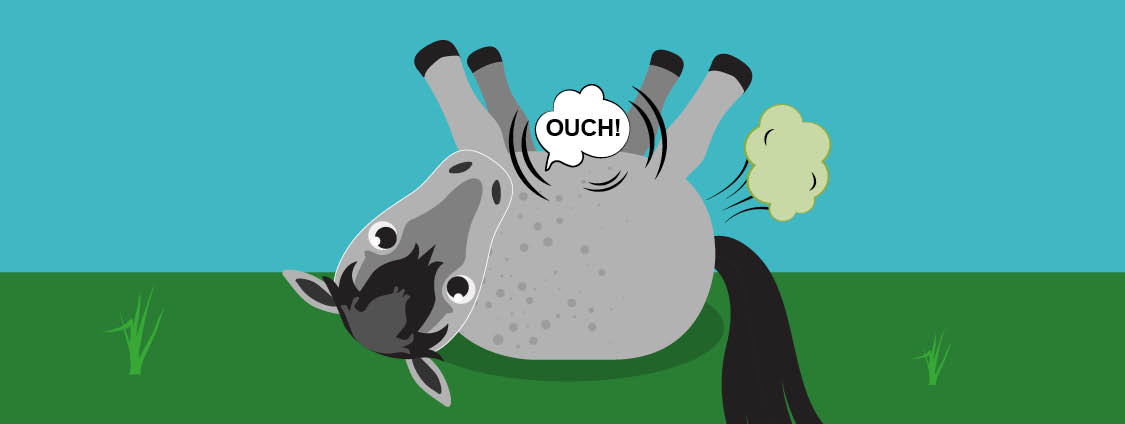 How to Help Prevent Horse Colic