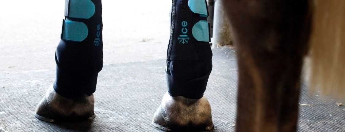 ice boots for horses