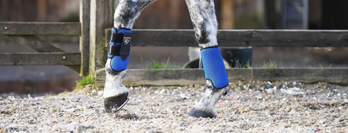 Which breathable boots is best for your horse