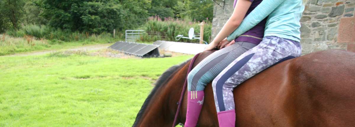 The Best Pair Of Breeches