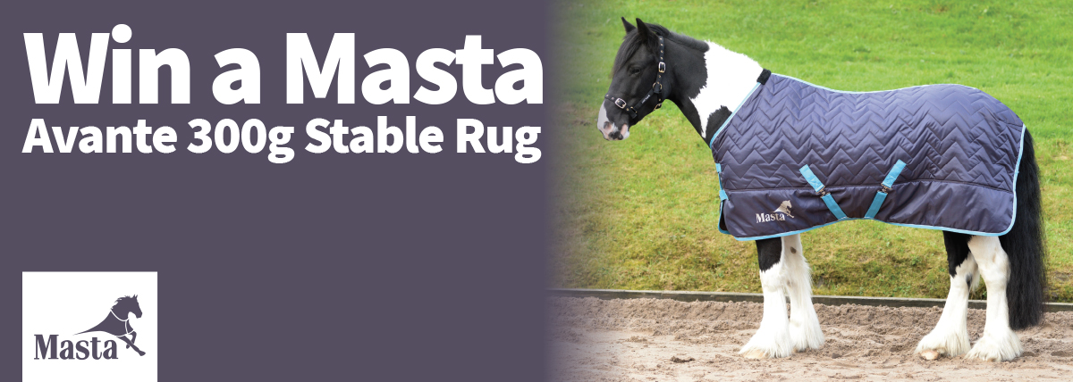 Win A Masta Avante Rug