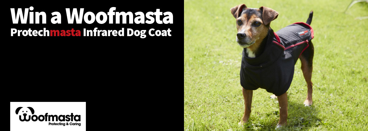 Win the Protechmasta Dog Coat