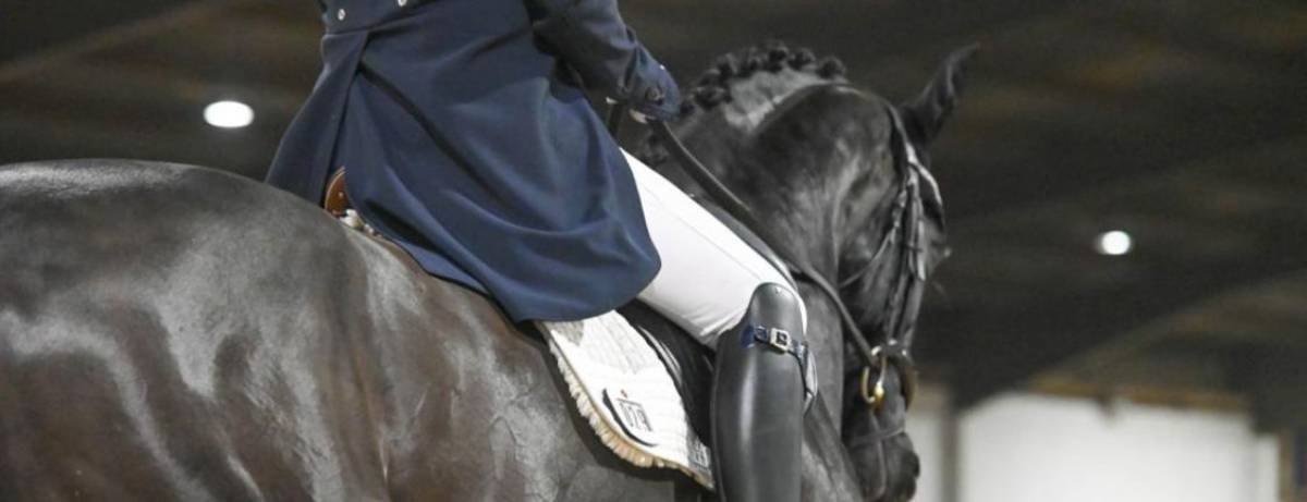 How to remember a dressage test