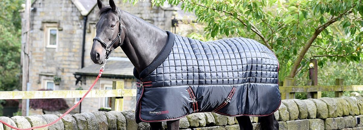turnout boots for arthritic horse