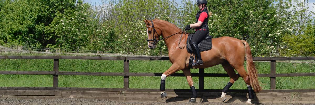 how to ride half-pass dressage
