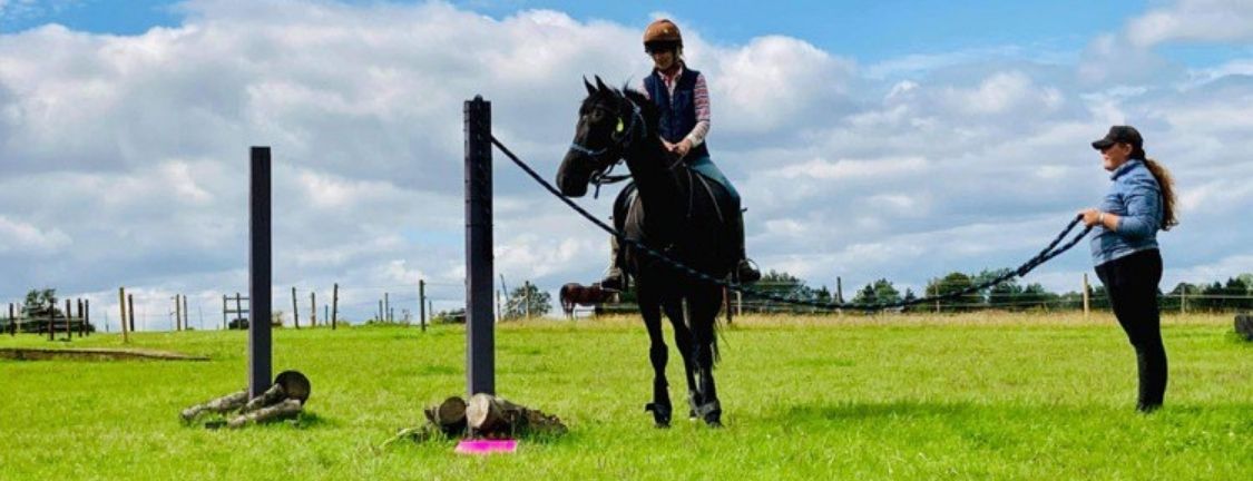 Natural Horsemanship