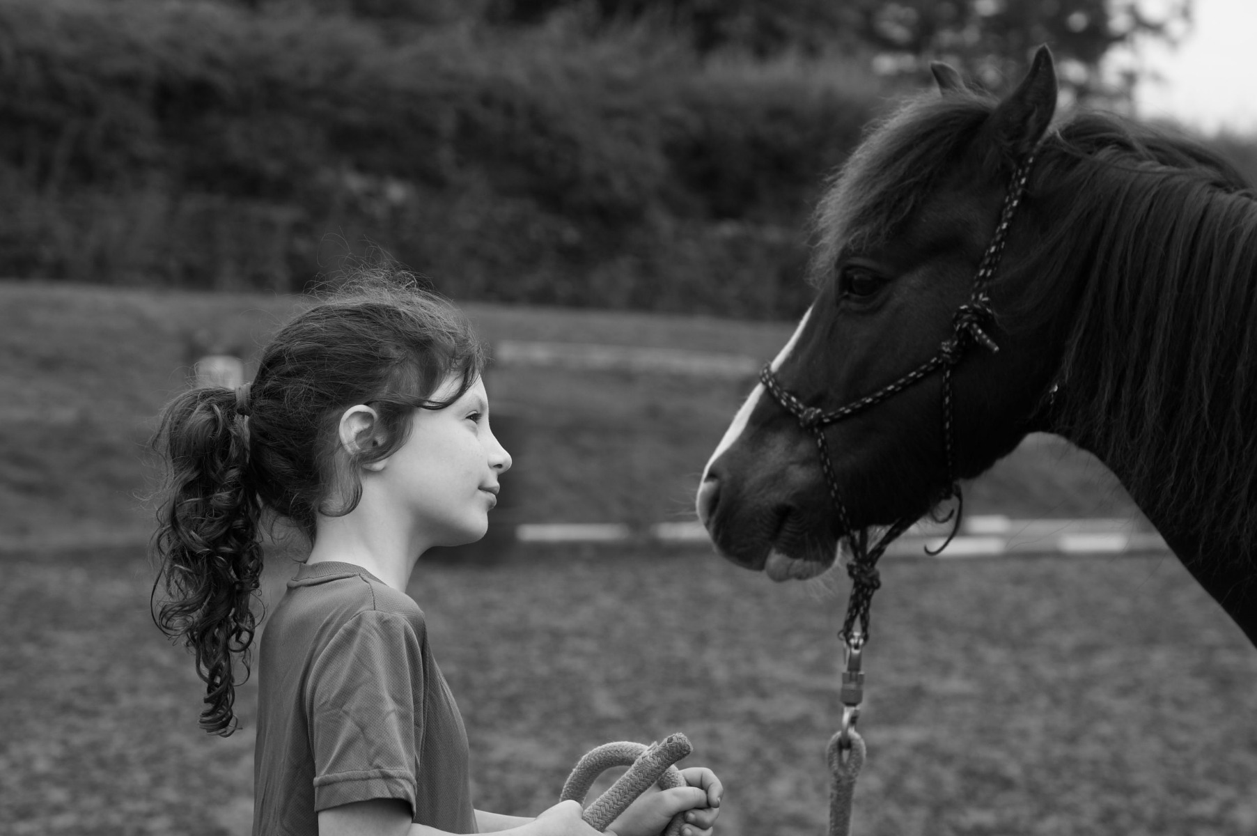 Think Like a Pony Child and Horse