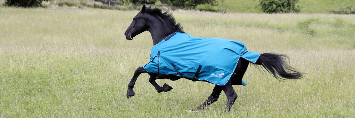 What does it mean when my horse