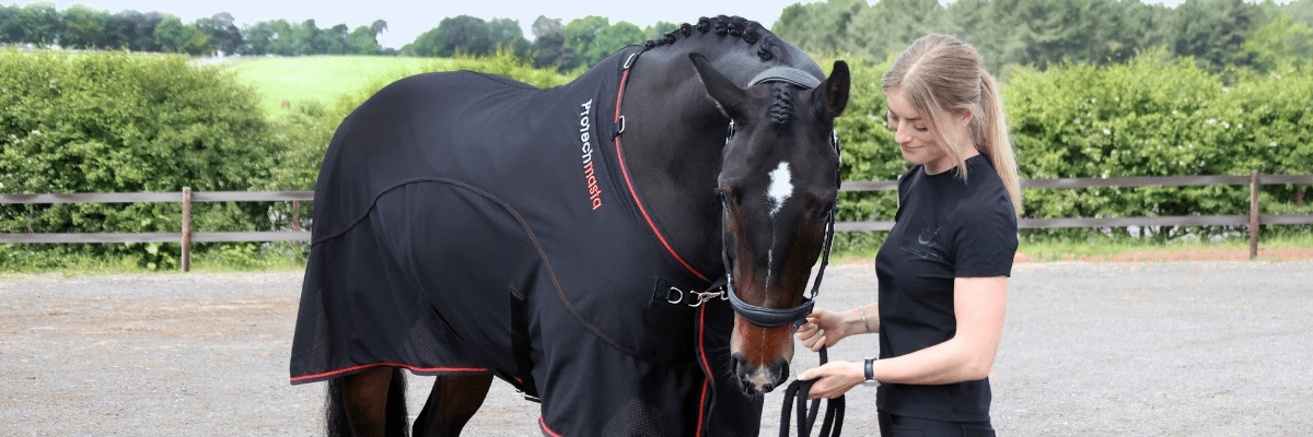 Infrared Rugs for Horses