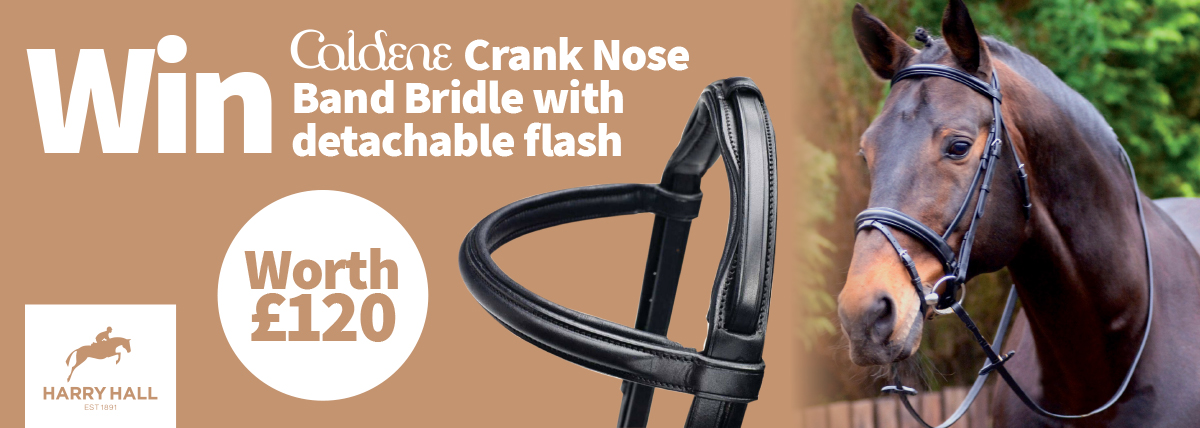 Win A Caldene Bridle