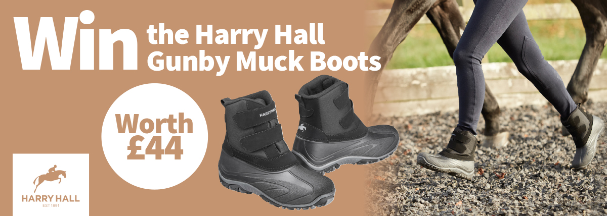 harry hall mucker boots