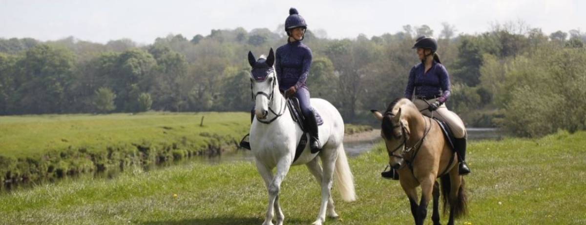 10 Things Every Horse Owner Should Try This Year 