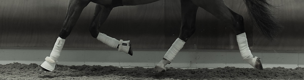 How to Poultice a Hoof