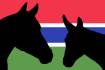 Gambia_Horse_Trust_Logo_2_