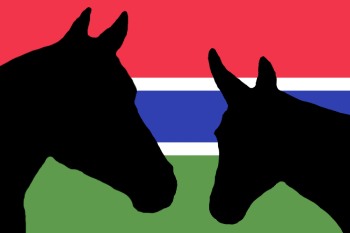 Gambia Horse and Donkey Trust Logo