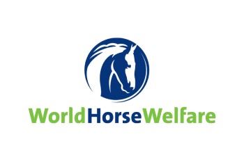 World Horse Welfare Logo Harry Hall Charity Partner