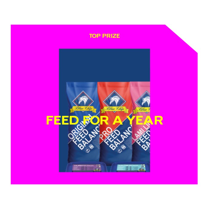 Top_Prizes_Supplied_W4_BLUECHIP