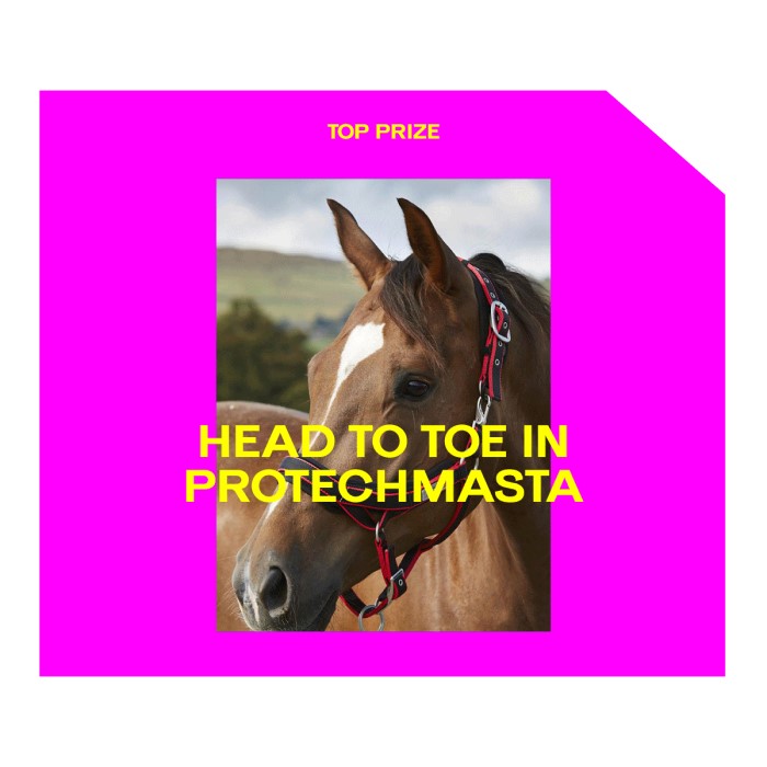 Top_Prizes_Supplied_W5_PROTECHMASTA