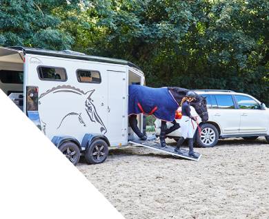 Horse Trailer Insurance