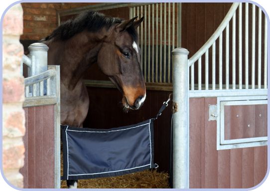 Shop Yard & Stable from £3.95