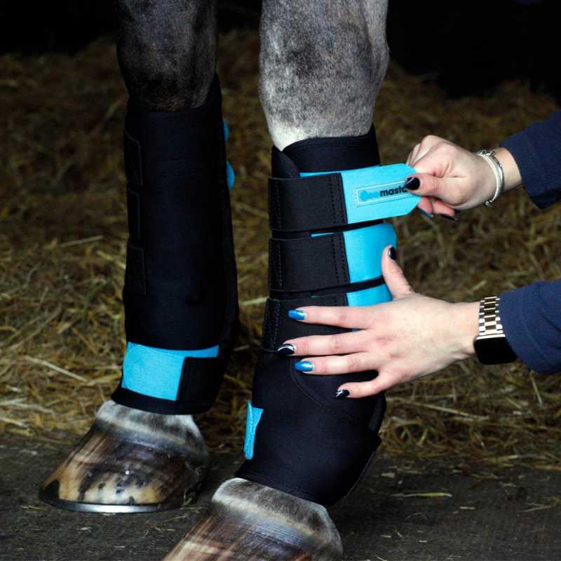 body protectors for horse riders