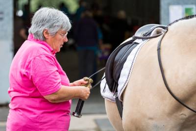 RDA volunteer with a horse