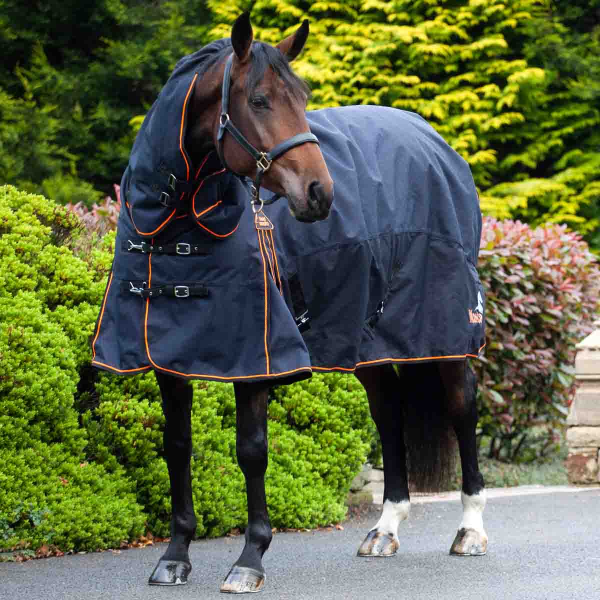 horse wearing a fielmasta heavyweight turnout rug