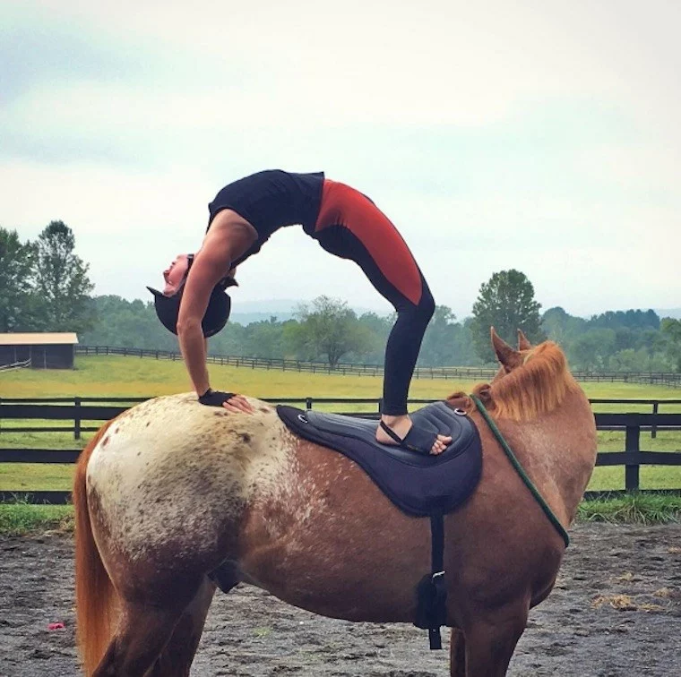 woman doing a backbend on a horse