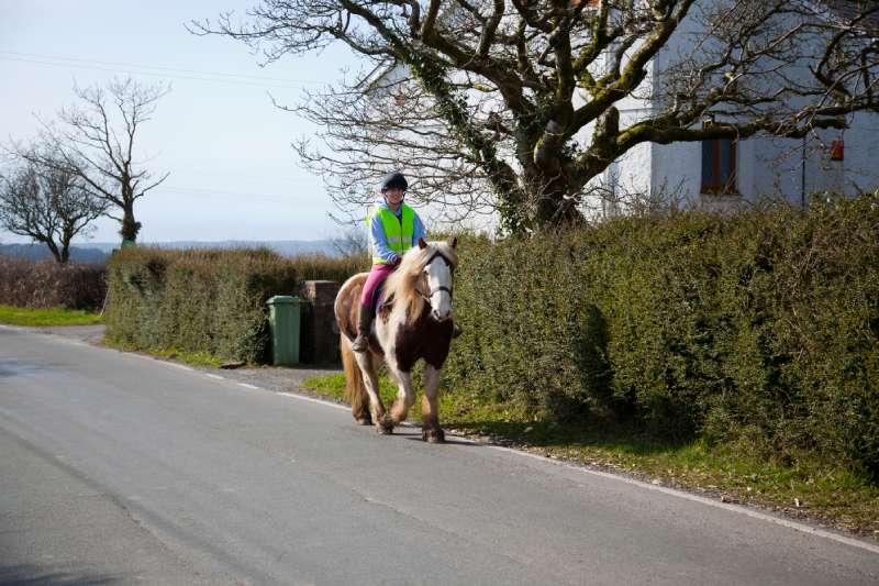 riding a horse on road under new highway code