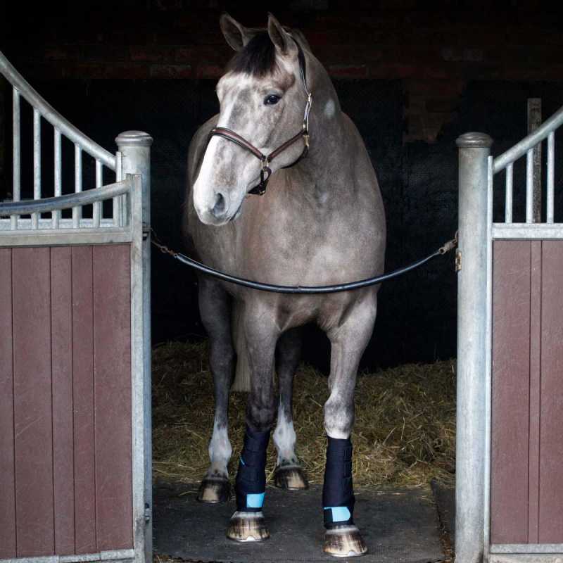 body protectors for horse riders