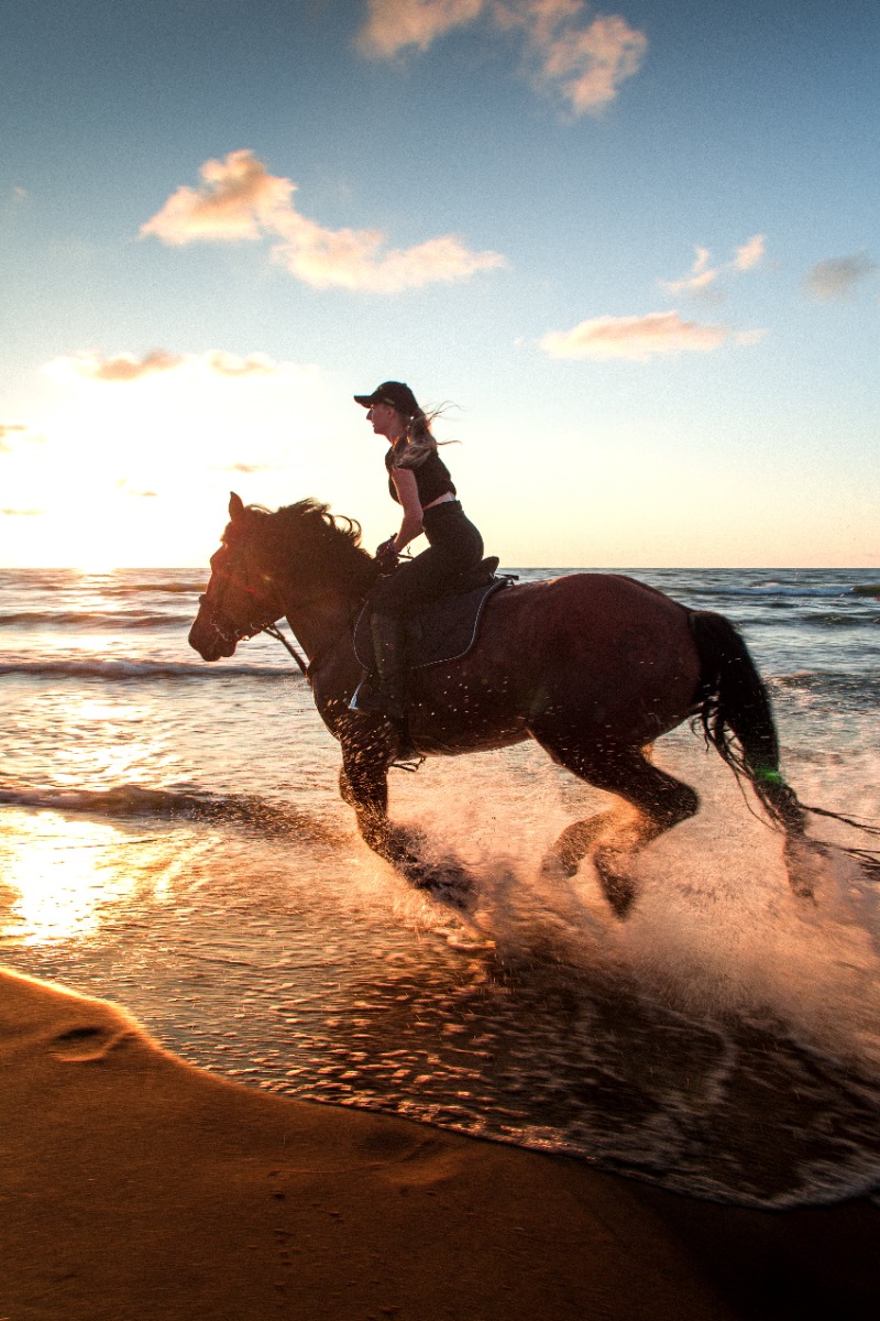 woman horse riding on a beach