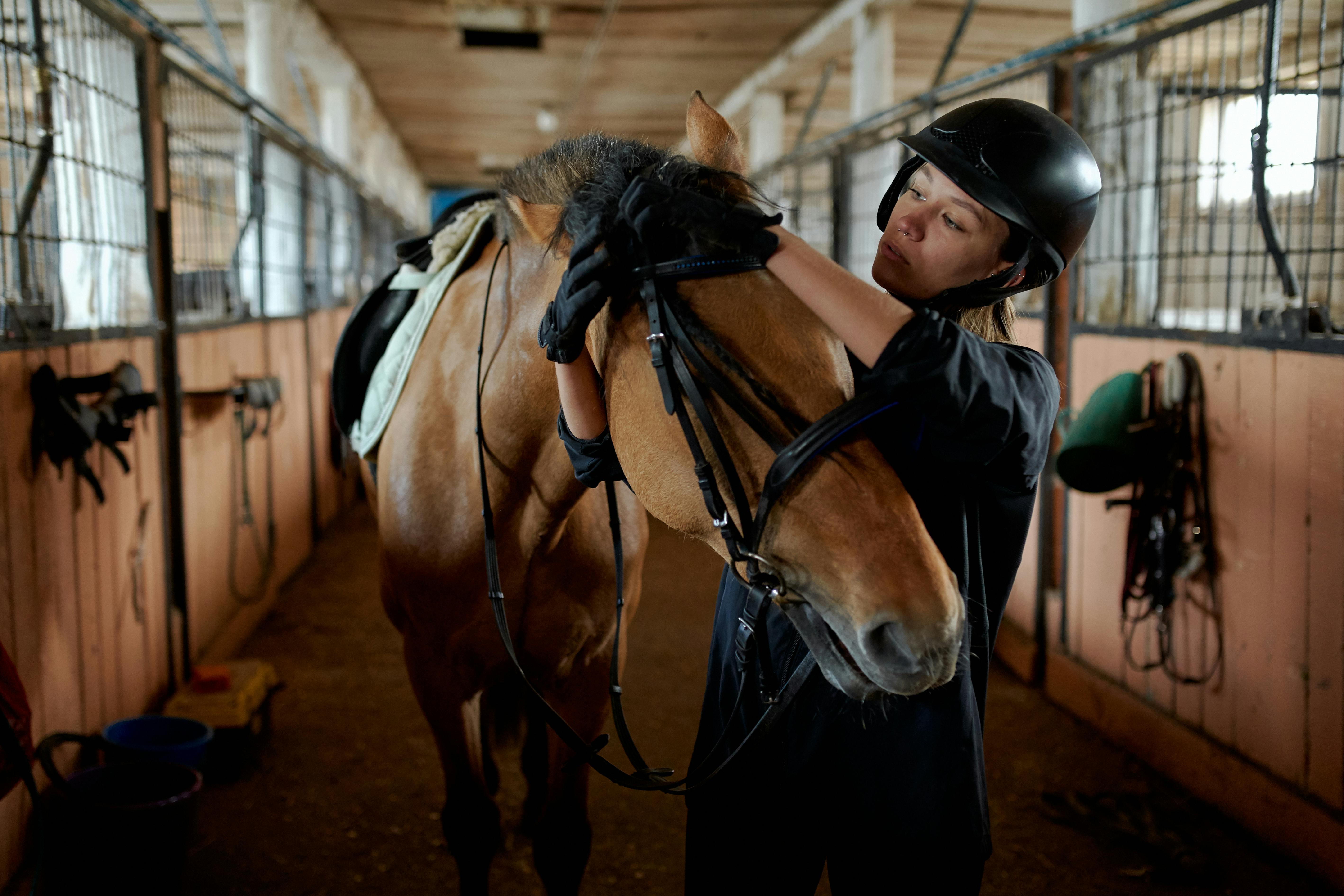 How to Help Prevent Horse Colic