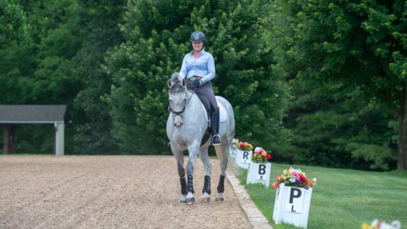 How to do dressage