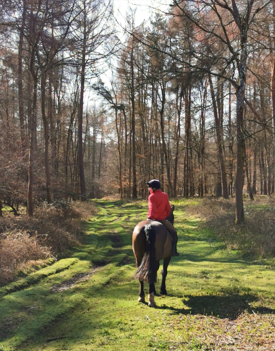 Cholsey Farm Riding