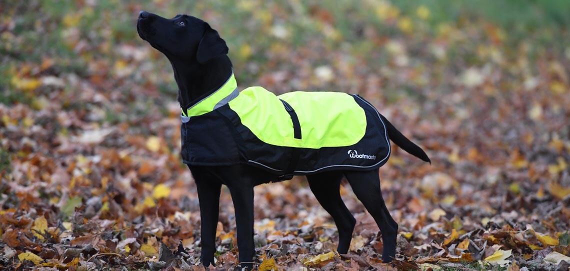 Stay safe and be seen Stay safe and be seen