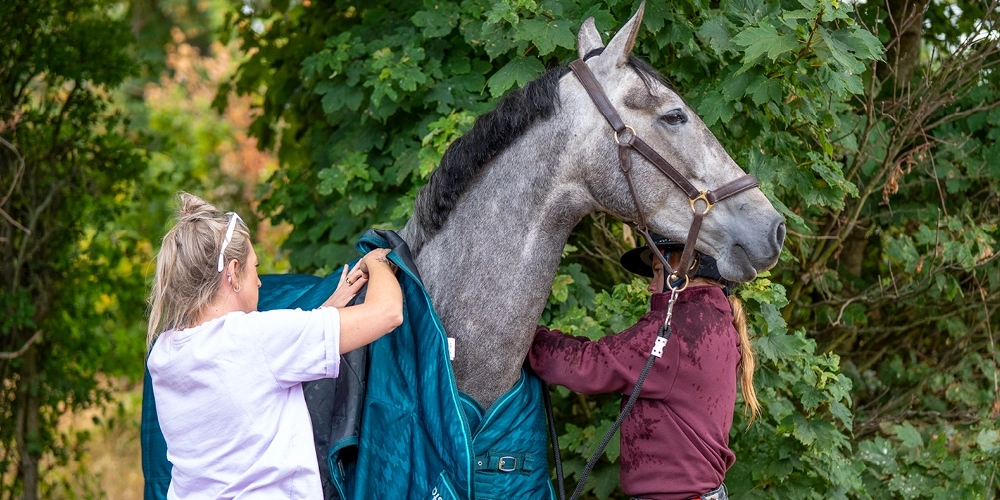 Measuring Your Horse For a Rug