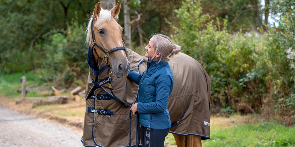 Over rugging: A Horse Rugging Guide