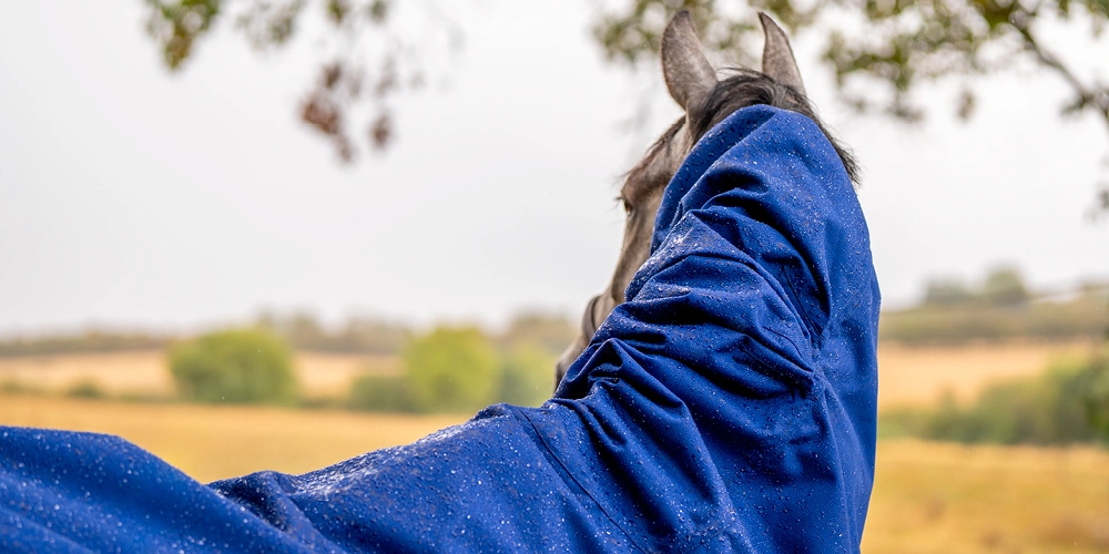 Understanding Horse Rug Waterproofing, Breathability and Weather Performance