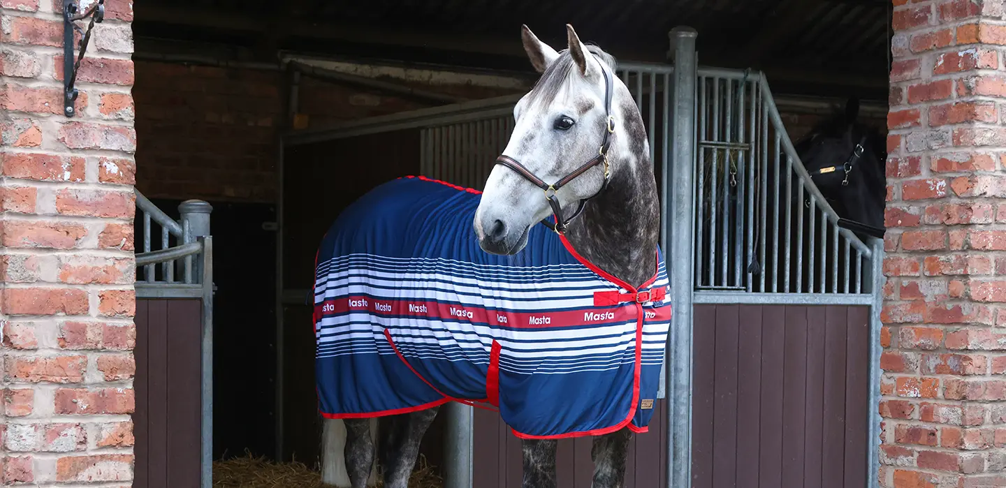 Masta for Every Horse - Masta Icons