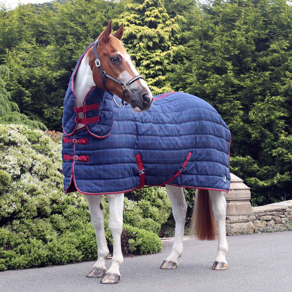 horse wearing a snugmasta medium weight stable rug